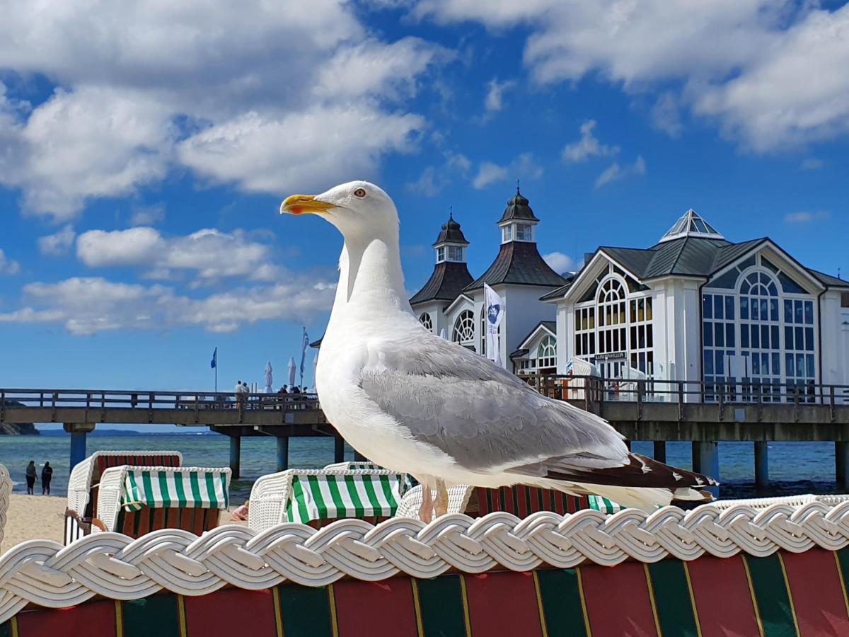 Das Appartement Inselliebe Ruegen Inkl Sauna Und 3H Taeglich Eintritt Ahoi Schwimmbad Sellin  Zewnętrze zdjęcie